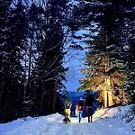 Dom wakacyjny Przysiółek Flądrówka - Dom Na Odludziu Z Widokiem Na Gorce I Tatry Szczawa