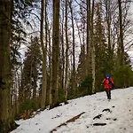 Dom wakacyjny Przysiółek Flądrówka - Dom Na Odludziu Z Widokiem Na Gorce I Tatry *
