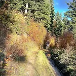 Przysiółek Flądrówka - Dom Na Odludziu Z Widokiem Na Gorce I Tatry *