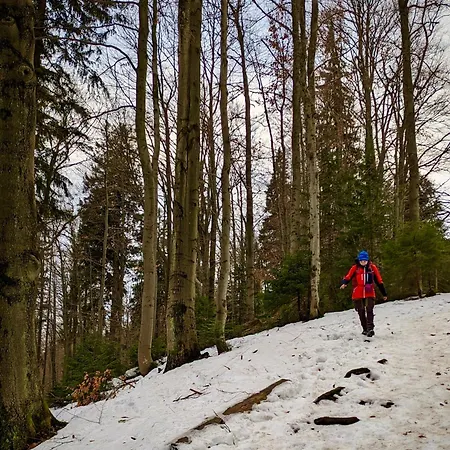 Nyaraló Przysiolek Fladrowka - Dom Na Odludziu Z Widokiem Na Gorce I Tatry *
