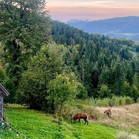 Przysiolek Fladrowka - Dom Na Odludziu Z Widokiem Na Gorce I Tatry Prázdninový dům *