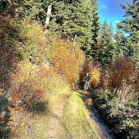 Przysiolek Fladrowka - Dom Na Odludziu Z Widokiem Na Gorce I Tatry *