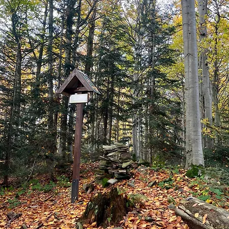 Przysiolek Fladrowka - Dom Na Odludziu Z Widokiem Na Gorce I Tatry Prázdninový dům Szczawa